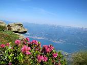 11 Sotto di noi il lago